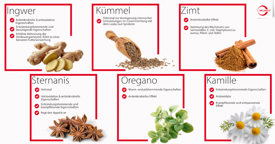 Botanicals 5