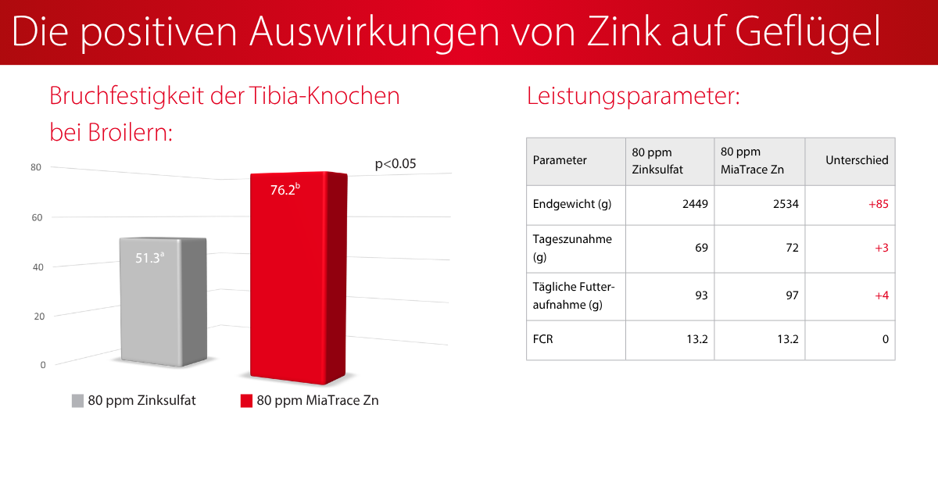 Die_positiven_Auswirkungen_von_Zink_auf_Geflügel.jpeg
