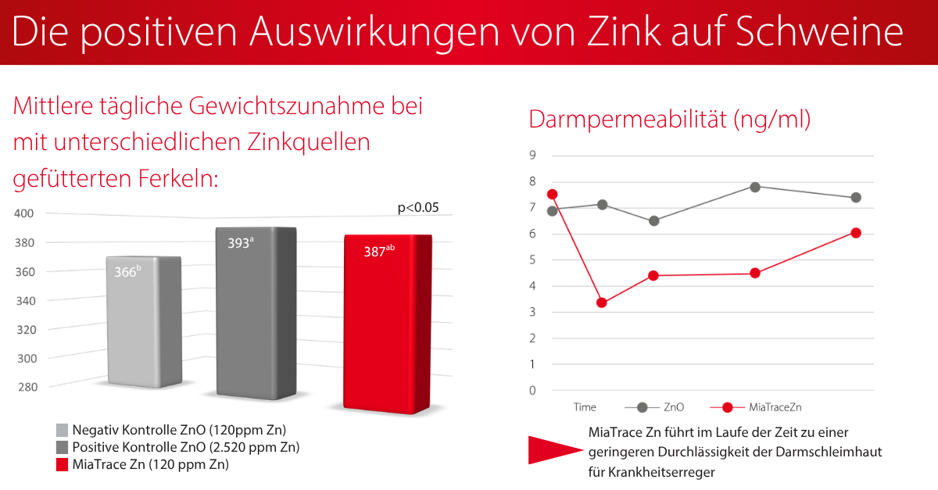 Die_positiven_Auswirkungen_von_Zink_auf_Schweine.jpeg
