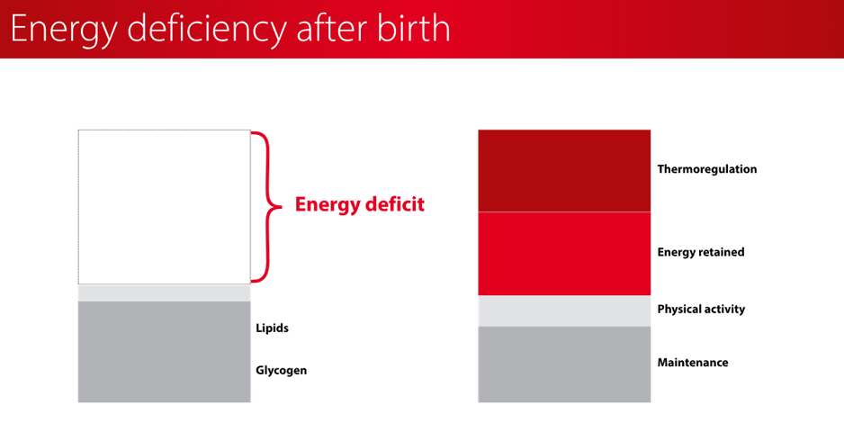 Energy_deficiency_after_birth.jpeg