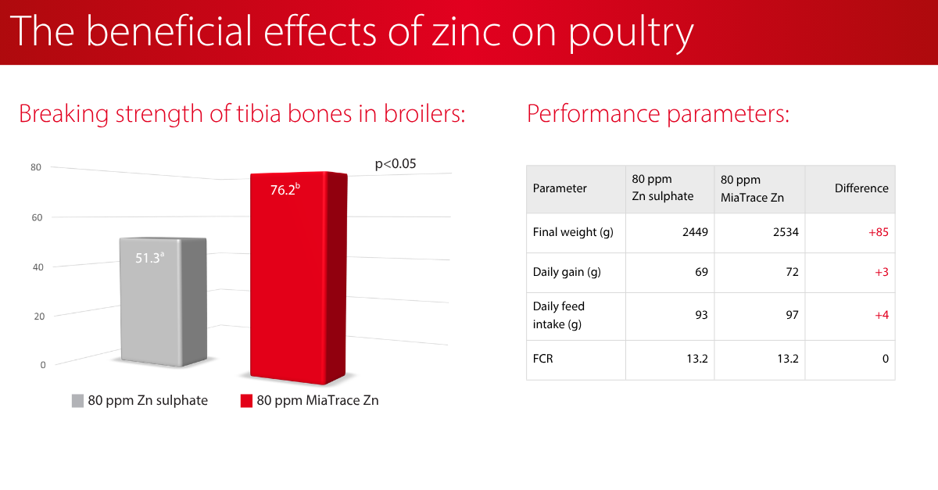 The_beneficial_effects_of_zink_on_poultry.jpeg
