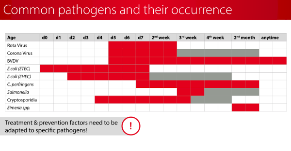 Common pathogens and their occurrence