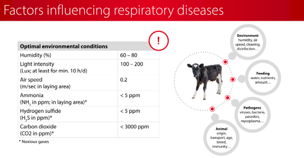 Factors influencing respiratory diseases