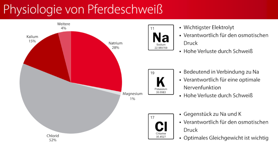 Elektrolyte beim Pferd