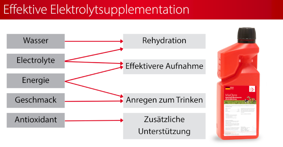 Elektrolytmanagement beim Pferd