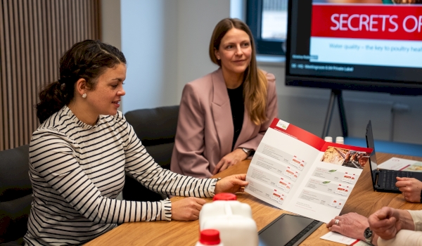miavit-technical-team