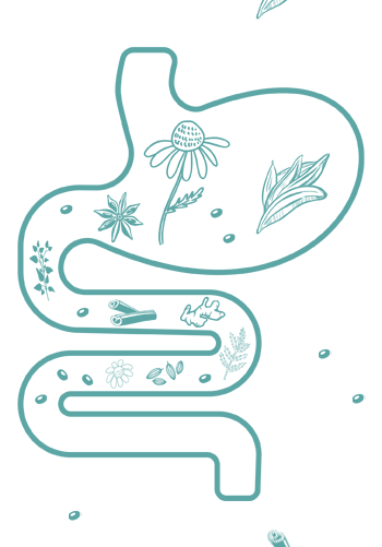 miarom plant 4