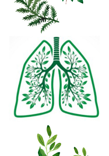 miarom plant 4