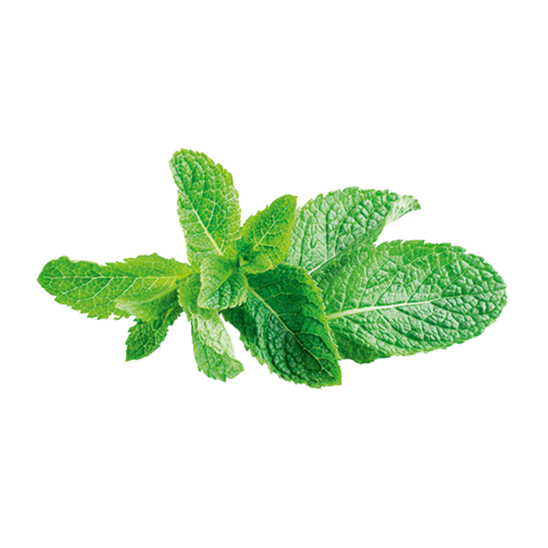 miarom plant 3